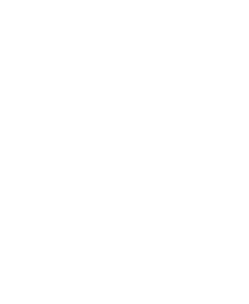 analog webworks